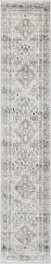Jules Traditional Light Gray/White/Charcoal Area Rug