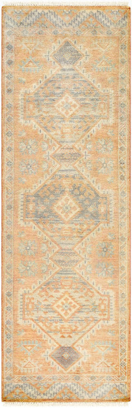 Holcomb Bohemian/Global Apricot/Cream Area Rug