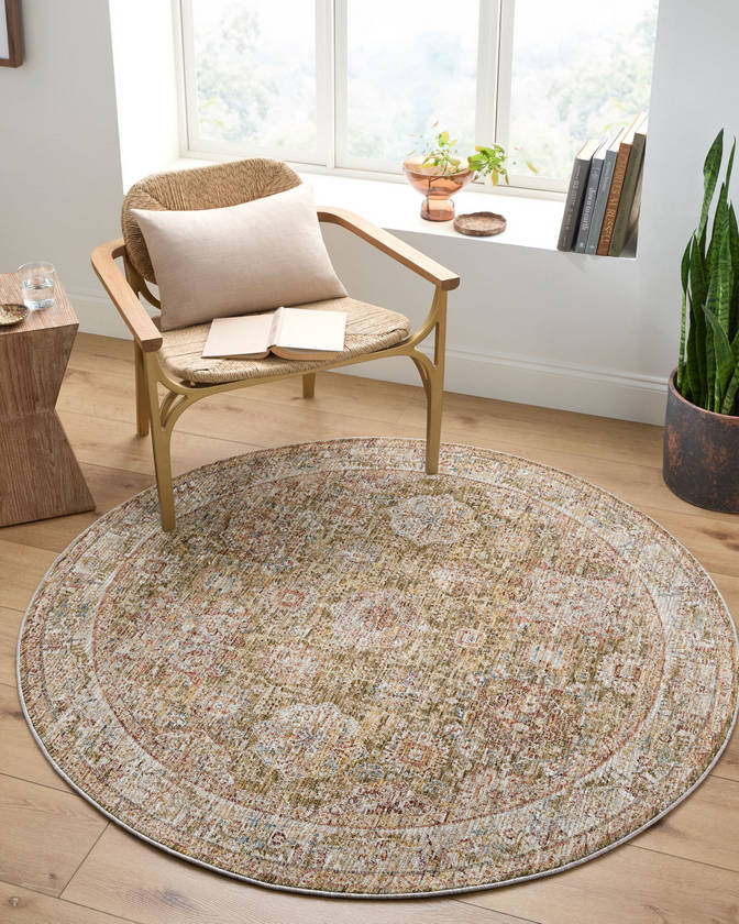 Belvue Traditional Olive Area Rug