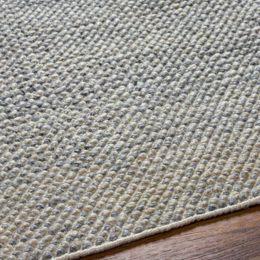 Kirwin Modern Beige/Gray Area Rug