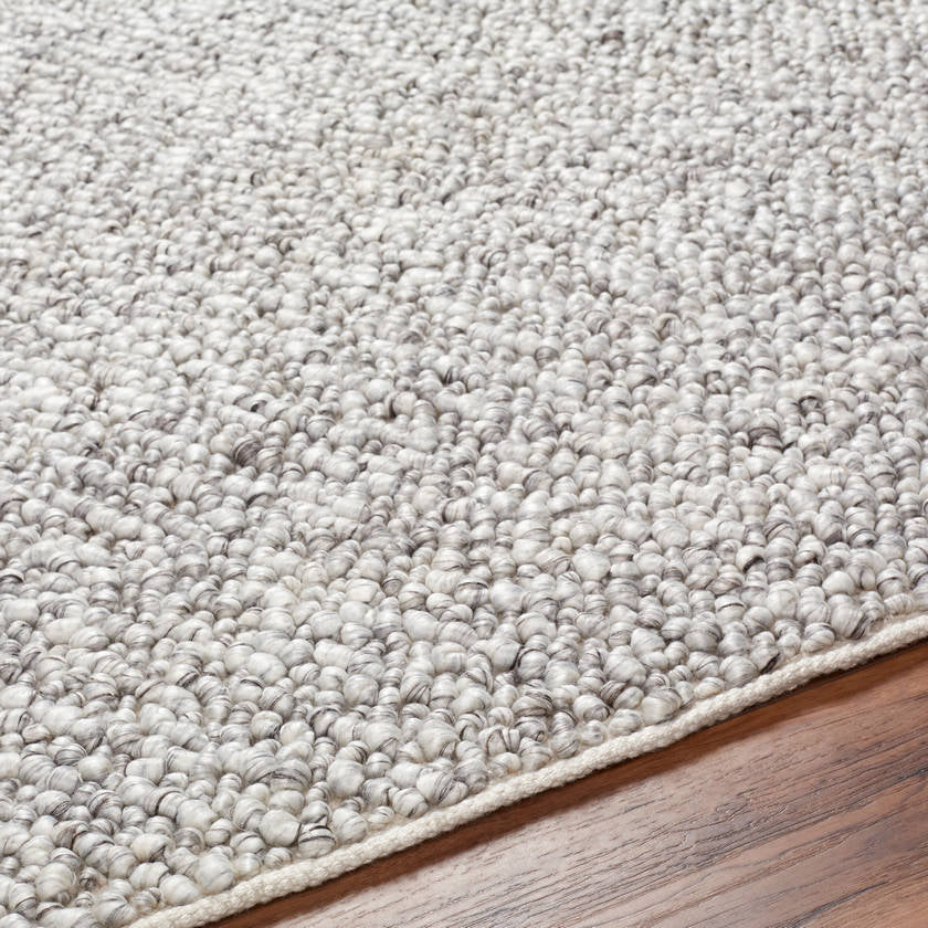 Leonora Modern Light Gray/Off-White Area Rug