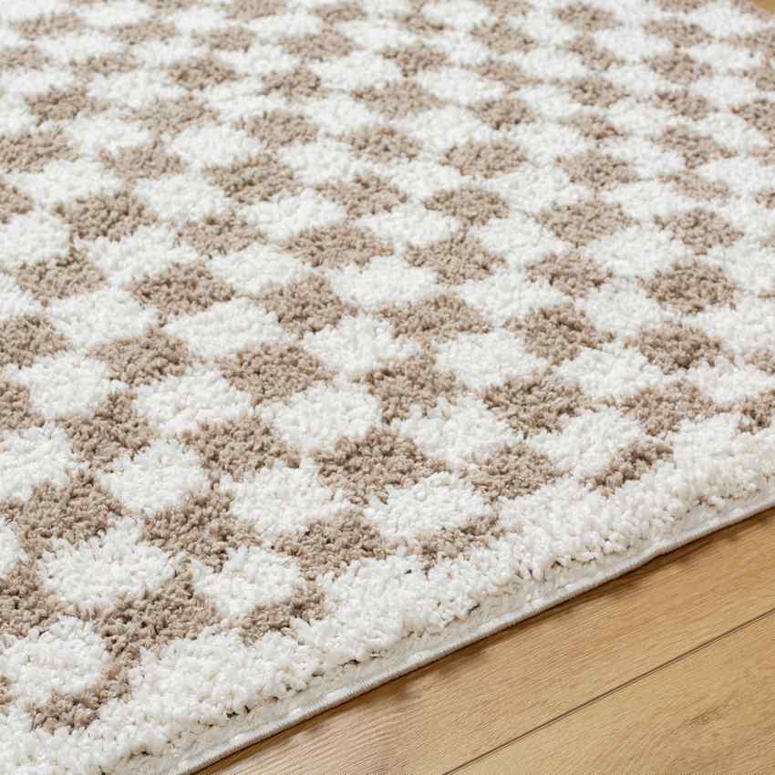 Emmitt Modern Light Brown Area Rug