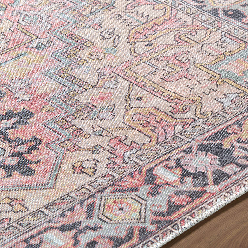 Tamea Traditional Rust/Pale Pink Area Rug