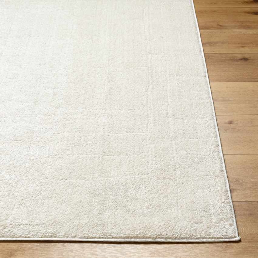 Sheritta Modern Ivory/Off-White Area Rug