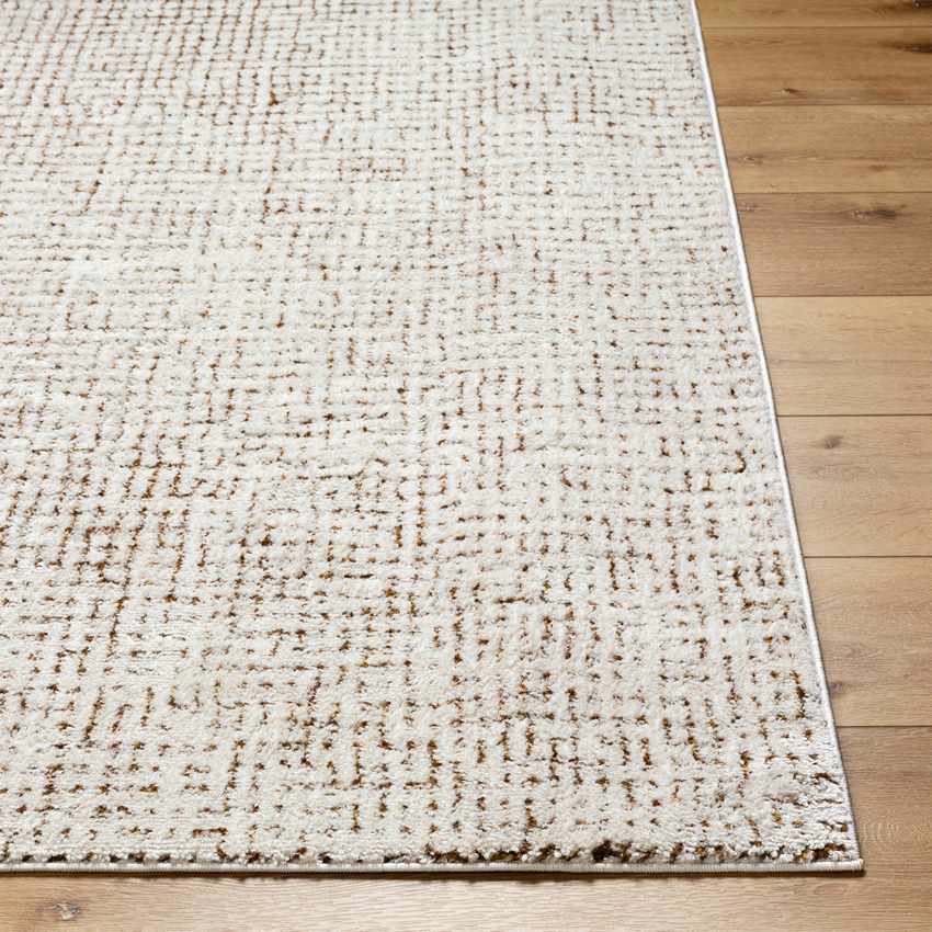 Lajoy Modern Ivory/Brown Area Rug