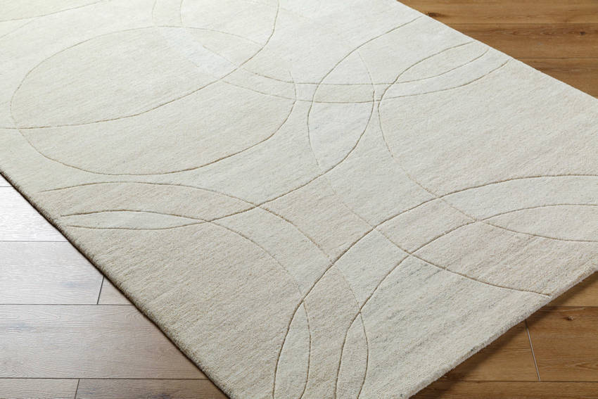 Besancon Modern Light Silver Area Rug