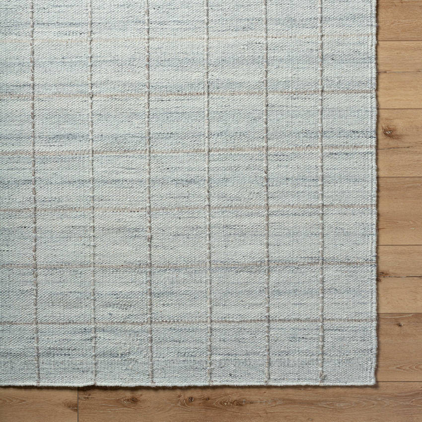 Ishaq Cottage Soft Blue Area Rug