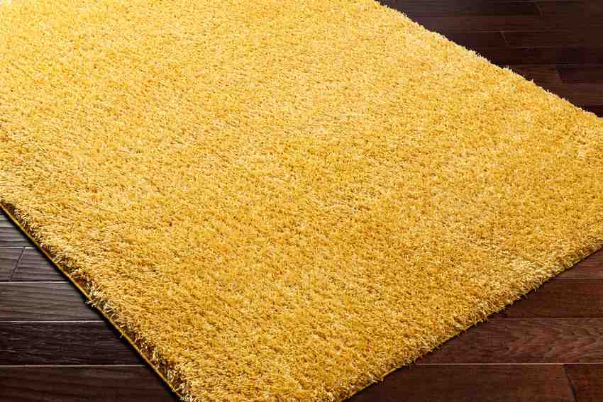 Charon Shag Saffron Area Rug
