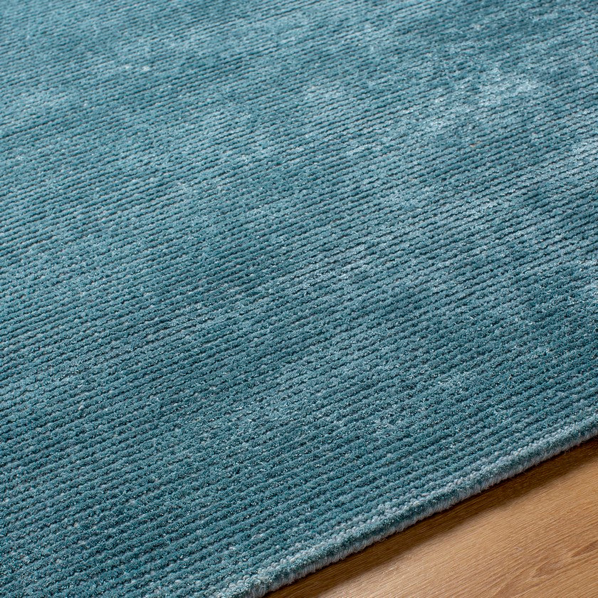 Jett Solid and Border Denim Area Rug