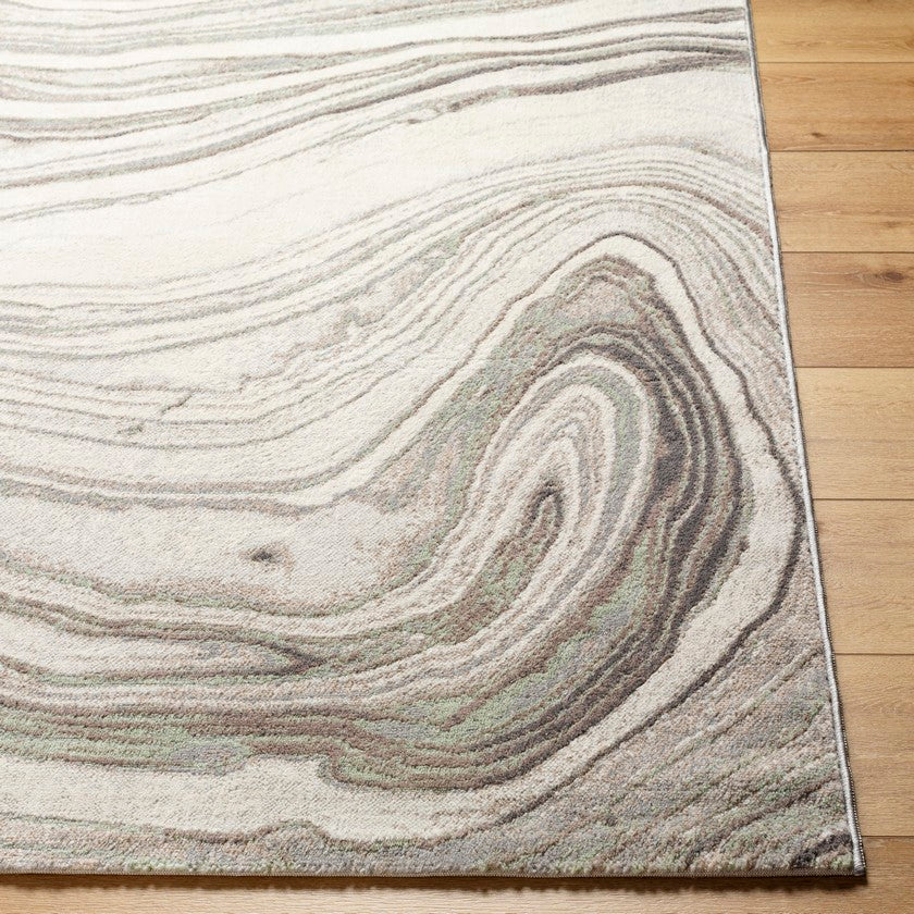 Morad Modern Light Gray Area Rug