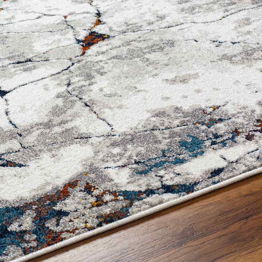 Ricci Modern Medium Gray Area Rug