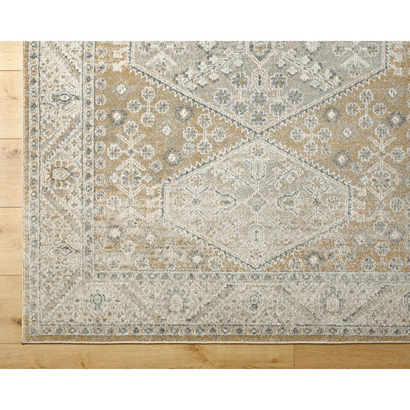 Demarco Traditional Saffron Area Rug