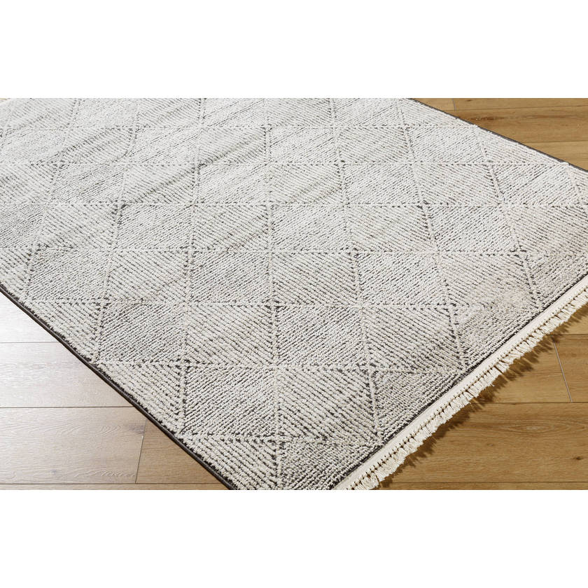 Otha Modern Ivory/Black Area Rug