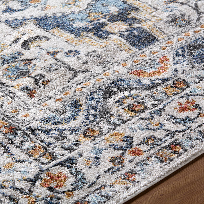 Elimelech Traditional Light Silver Area Rug