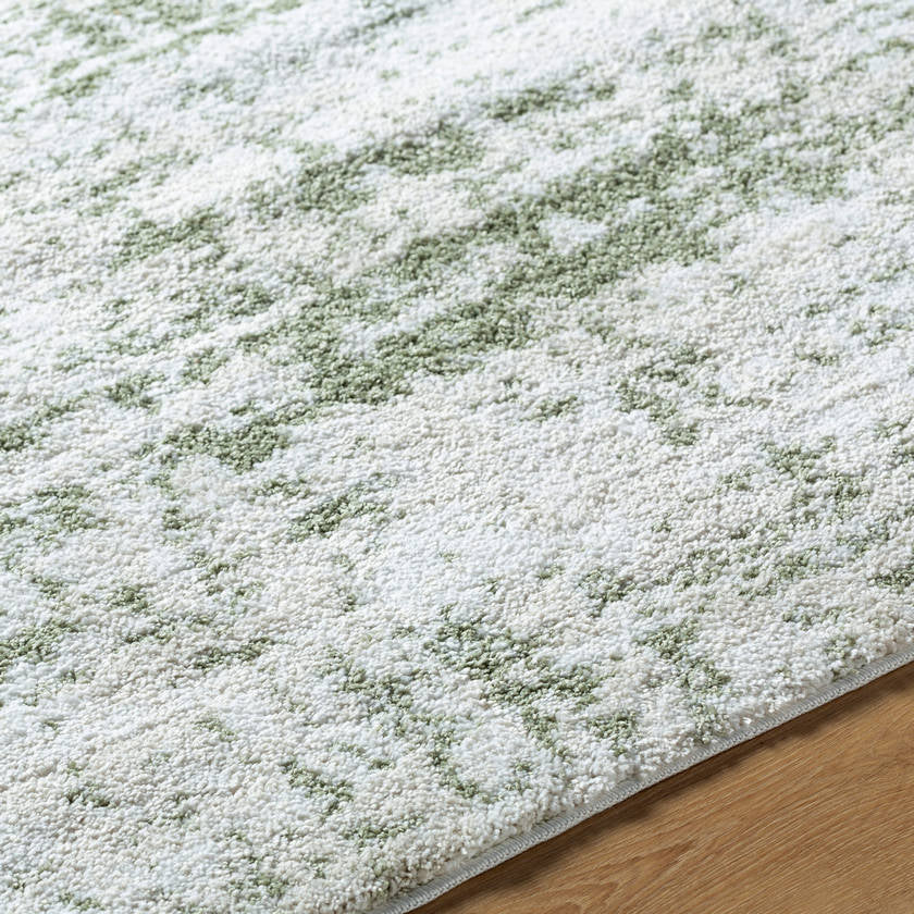 Sherod Modern Dark Green Area Rug