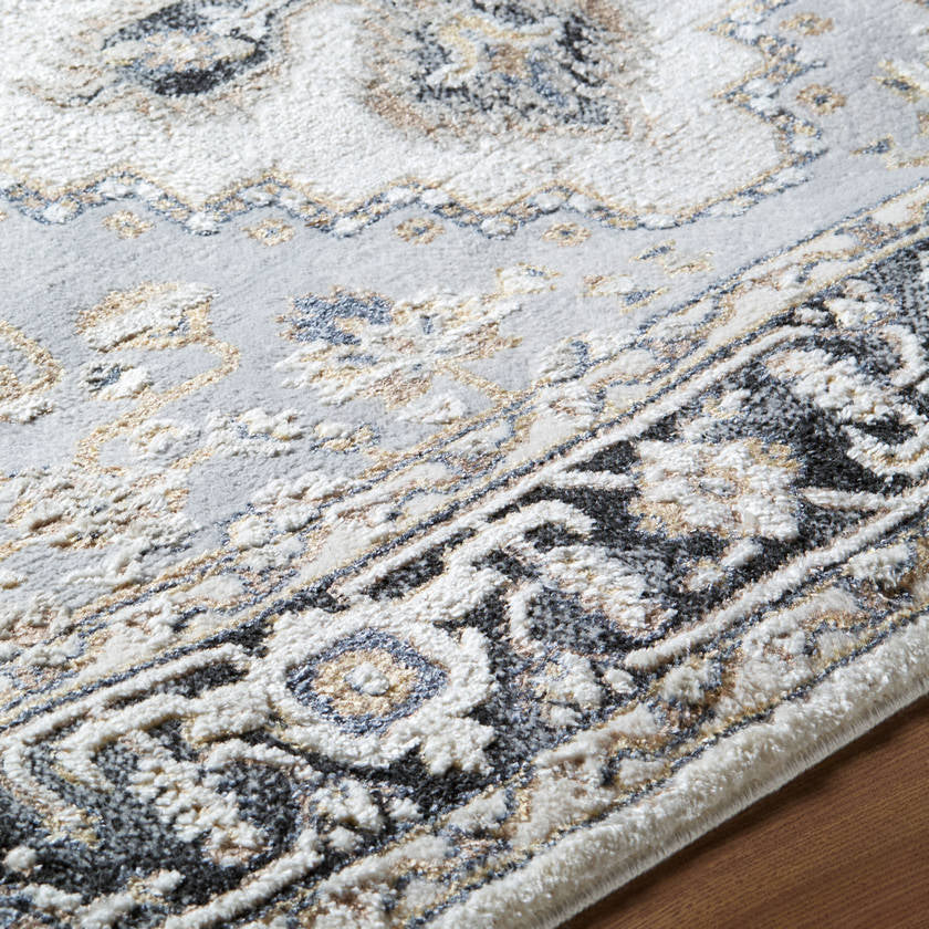 Daylan Traditional Black Area Rug