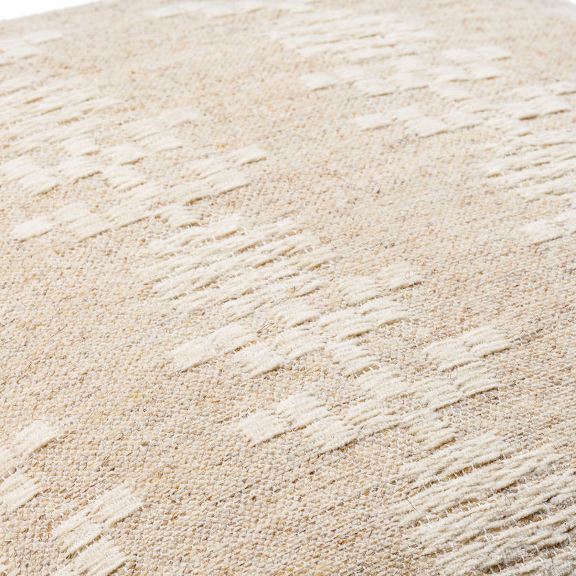 Alicyn Lighe Beige Pillow Cover