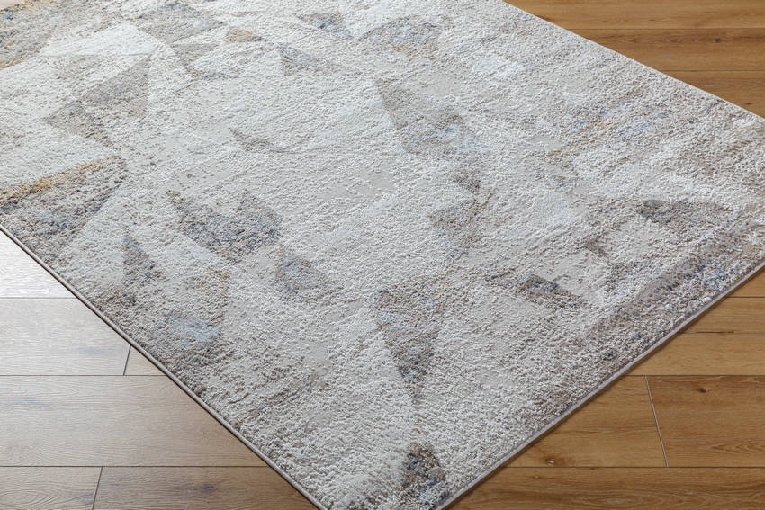 Alfonso Rustic Light Gray Area Rug