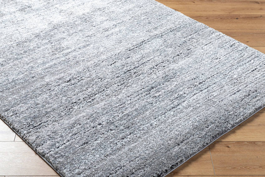 Rayla Modern Light Silver Area Rug