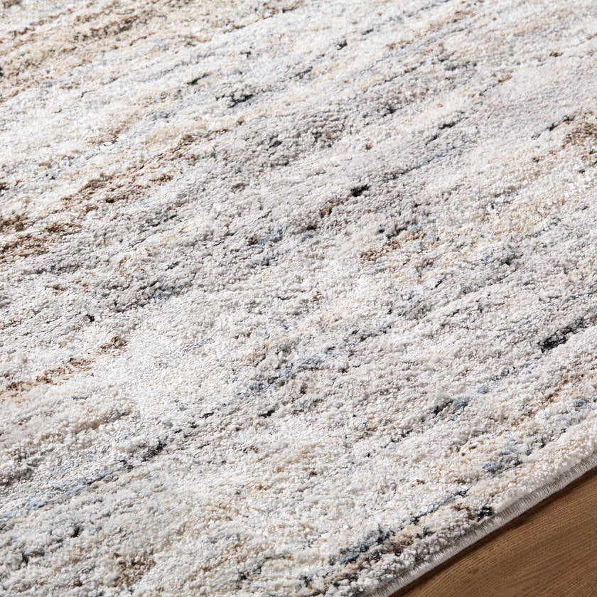 Namrata Modern Light Gray Area Rug