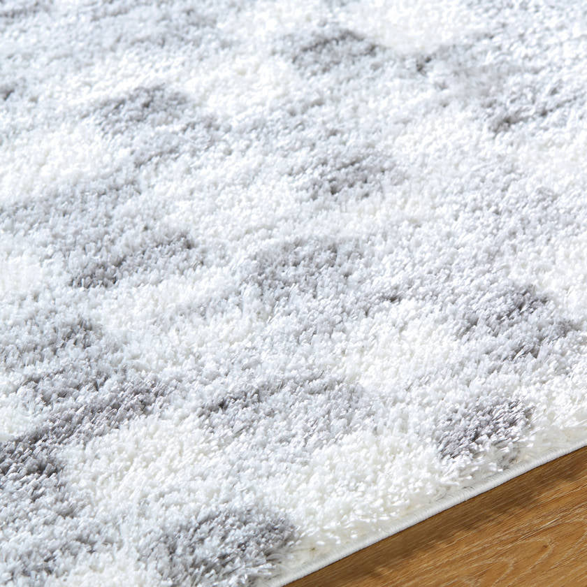 Saedinenie Modern Light Gray Area Rug