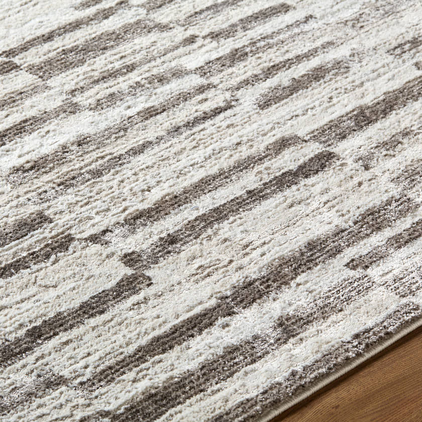 Megean Modern Medium Gray Area Rug