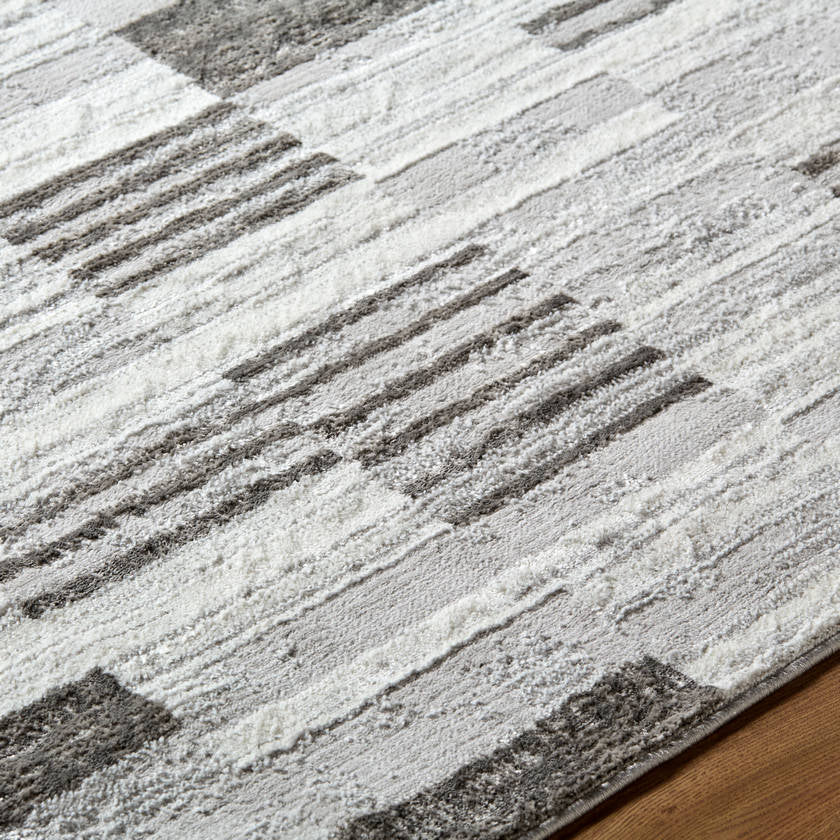 Rison Modern Medium Gray Area Rug