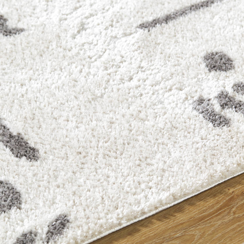 Shareef Modern Charcoal Washable Area Rug