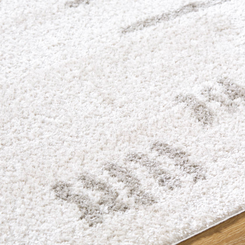 Shareef Modern Medium Gray Washable Area Rug