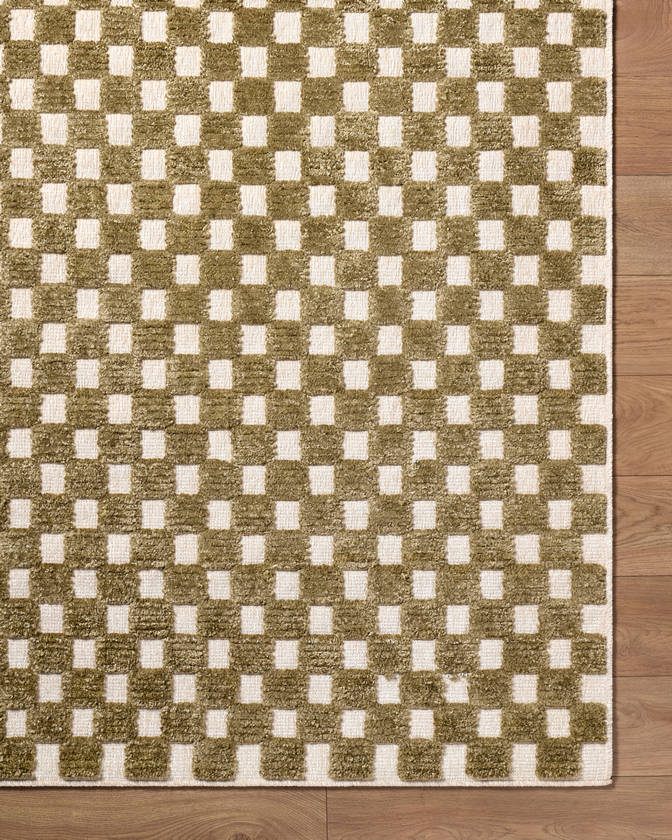 Jozette Modern Brown Washable Area Rug