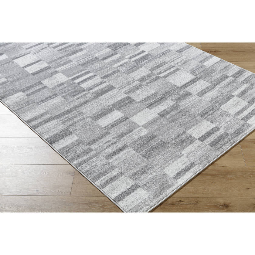 Dantrell Modern Light Gray Area Rug