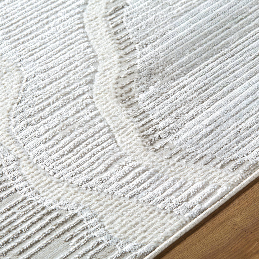 Iveliz Modern Ivory Area Rug