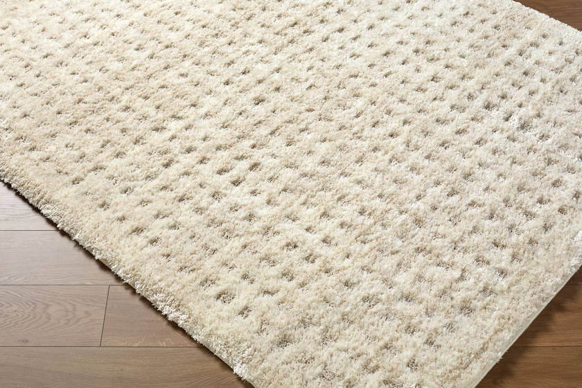 Latona Modern Light Brown Area Rug