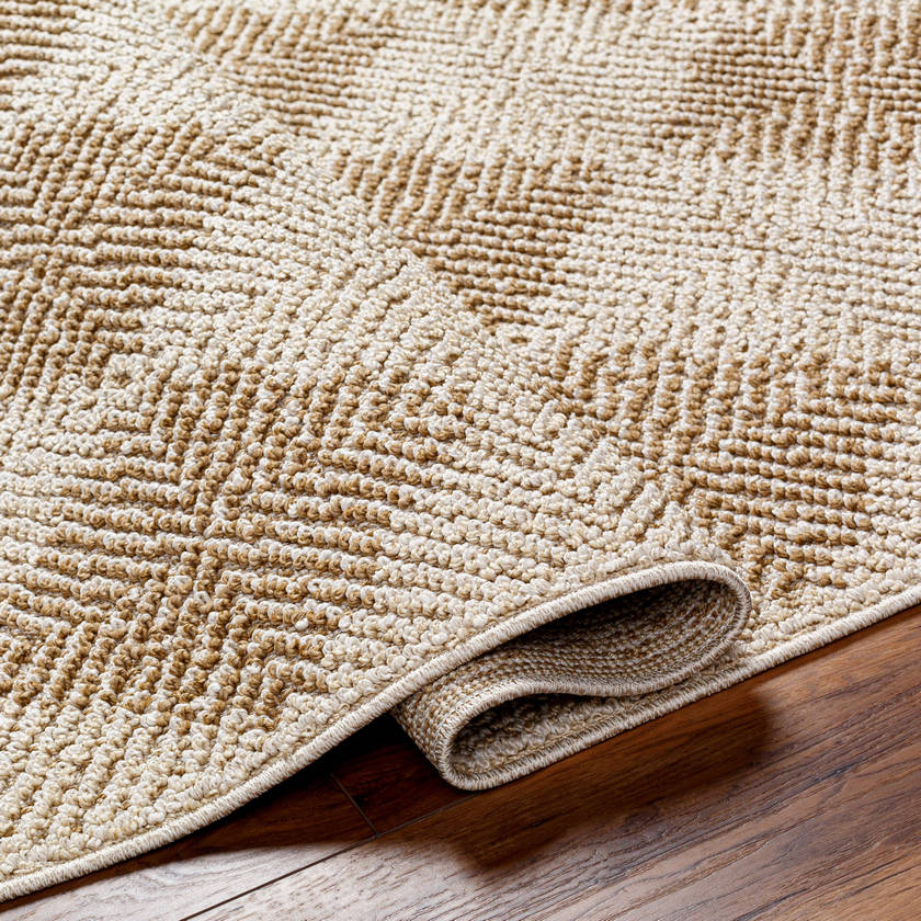 Kaya Cottage Tan Area Rug - Vivir x Livabliss