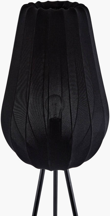 Angele Modern Black Floor Lamp