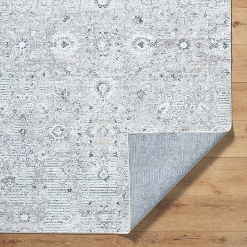 Analissa Traditional Light Gray Area Rug