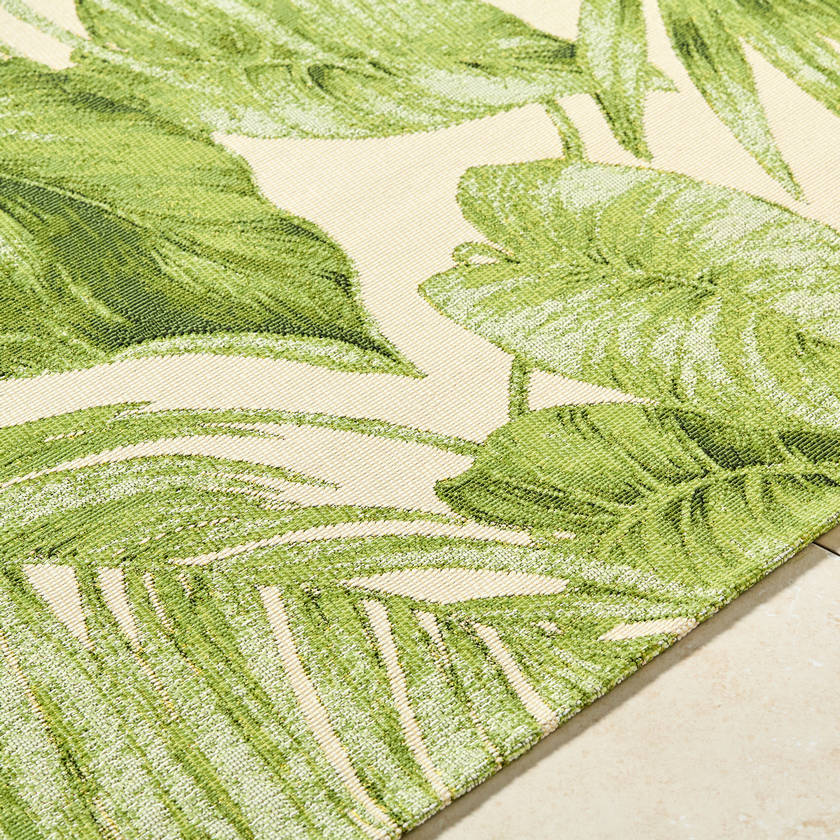 Leroy Coastal Olive Green Area Rug
