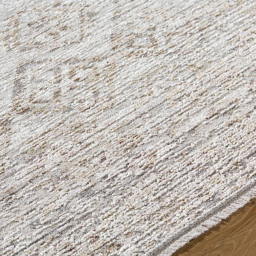 Wayde Traditional Taupe Area Rug