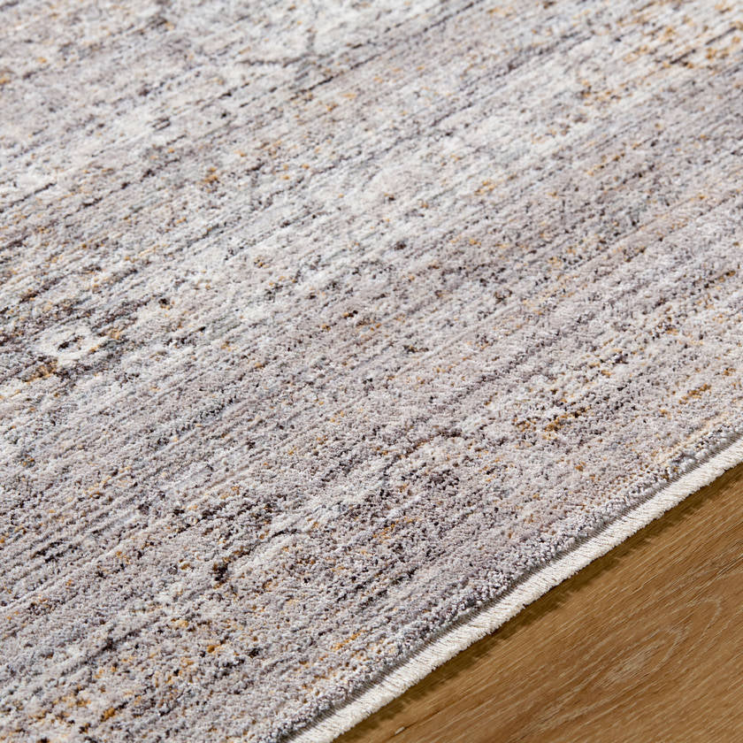 Jazzmen Traditional Gray Area Rug