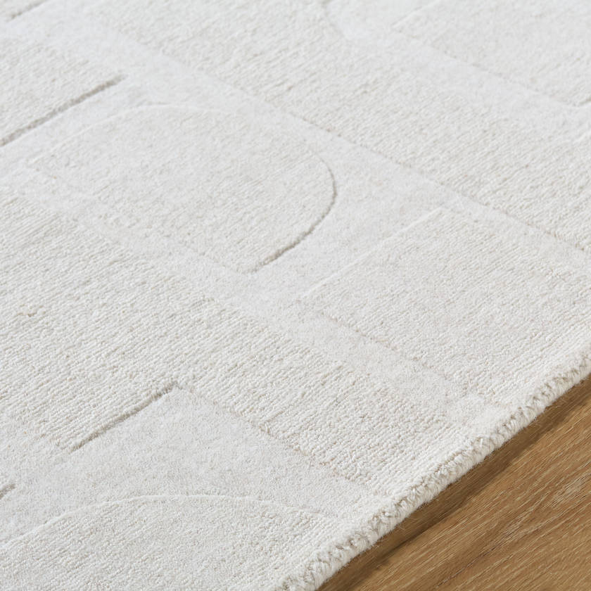 Farzad Traditional Light Gray Area Rug