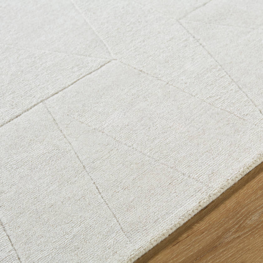 Justen Traditional Light Gray Area Rug