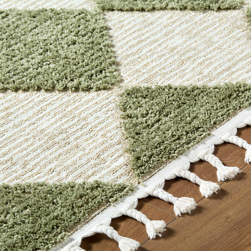 Lelani Modern Olive Area Rug
