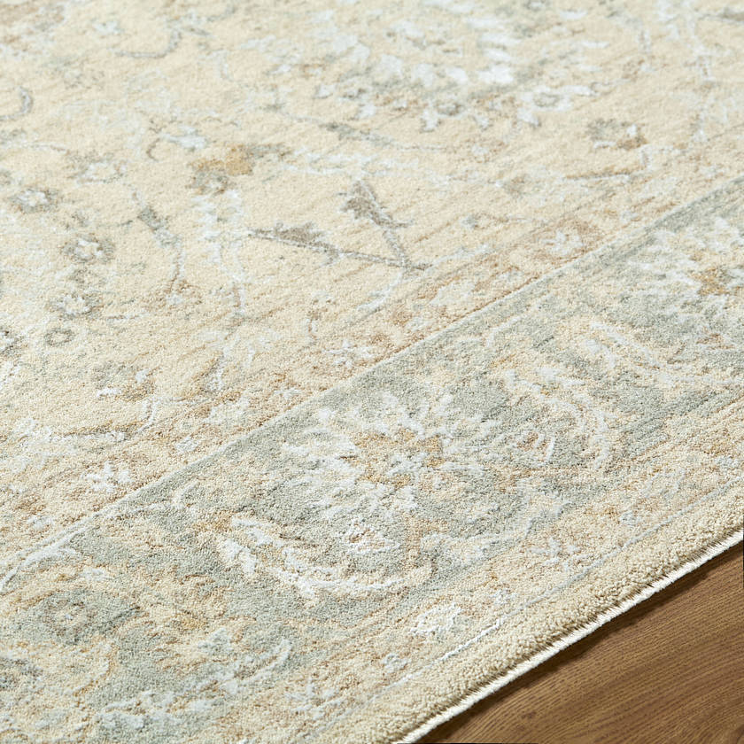 Assel Traditional Sage Area Rug
