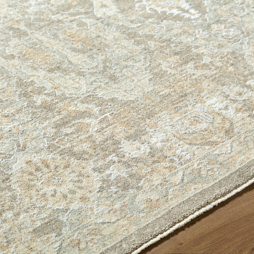 Sherica Traditional Light Beige Area Rug