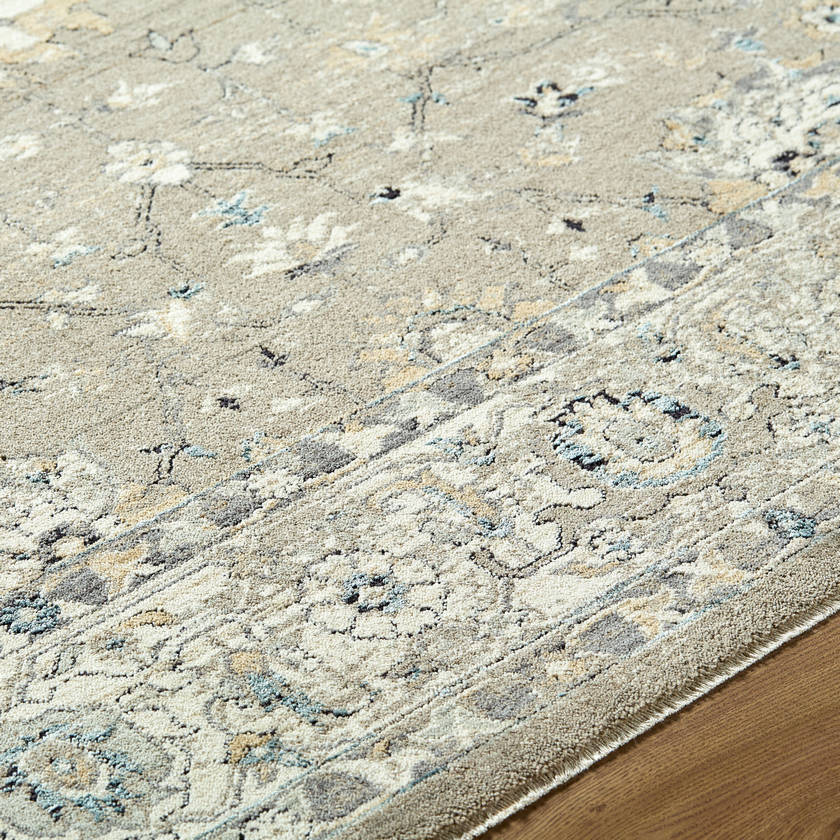Joanthan Traditional Ivory Area Rug