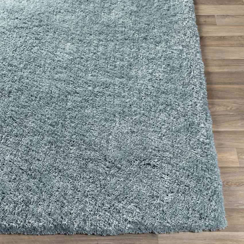 Cambrai Modern Aqua Area Rug