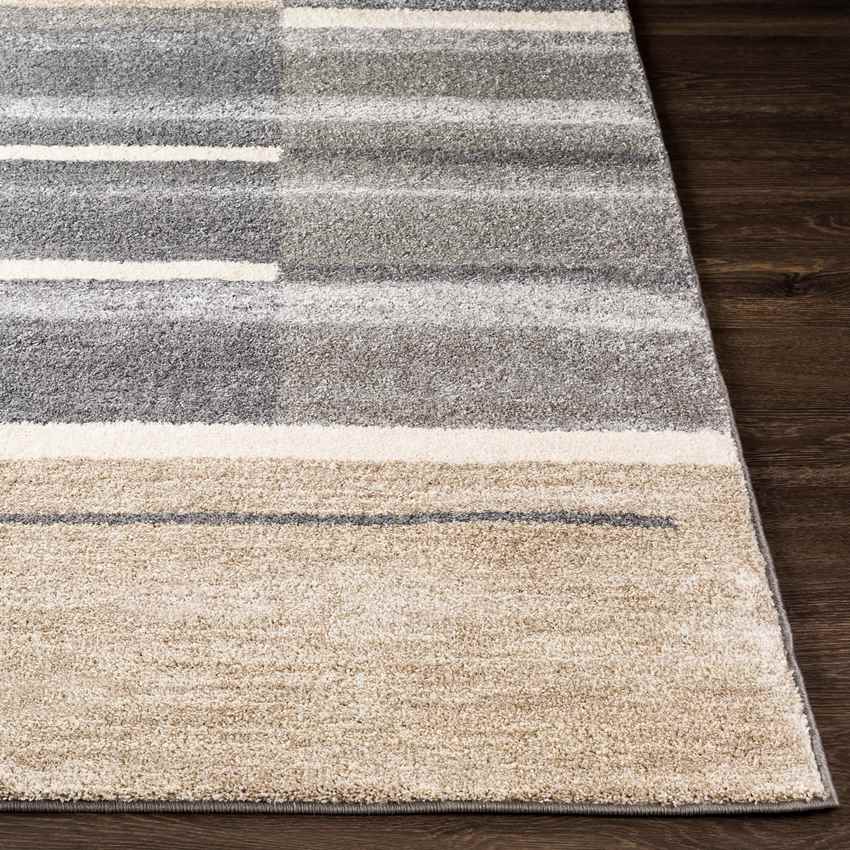 Loos Modern Medium Gray Area Rug