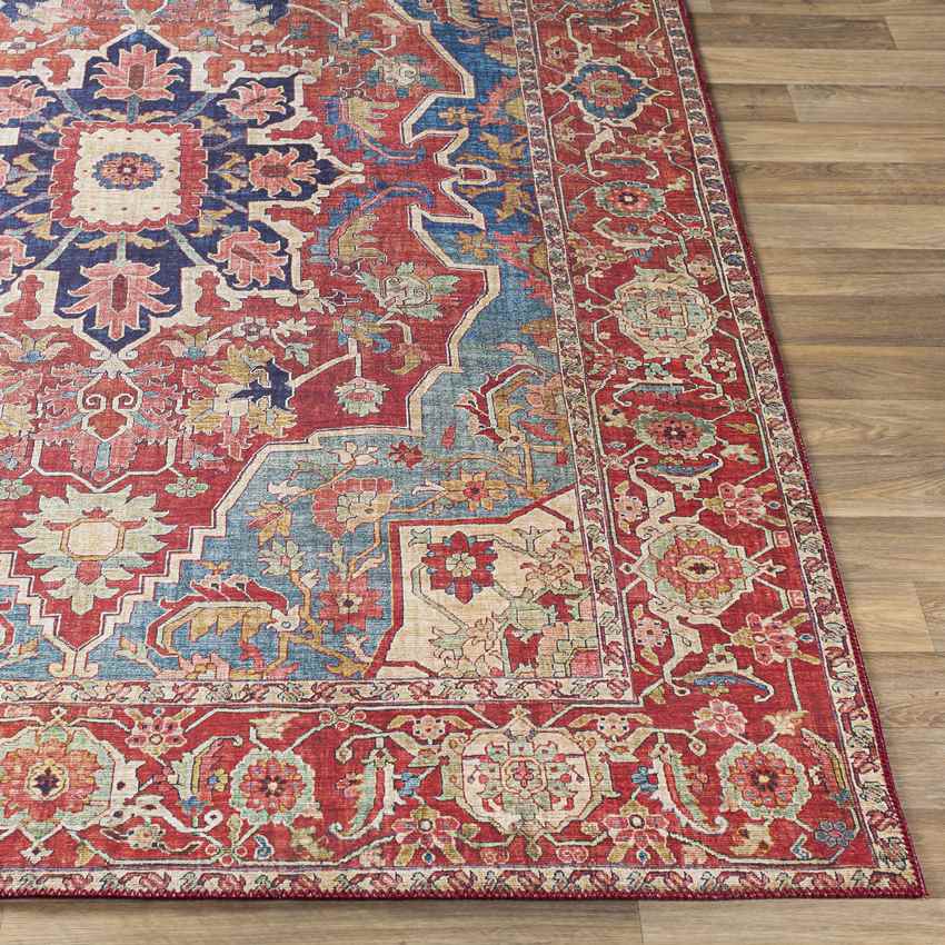 Nievre Traditional Burnt Orange Area Rug