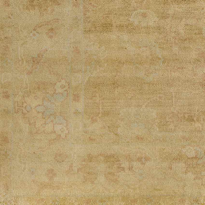 Ashburn Traditional Tan Area Rug