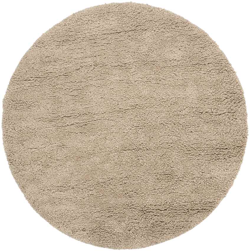 Manassas Modern Tan Area Rug